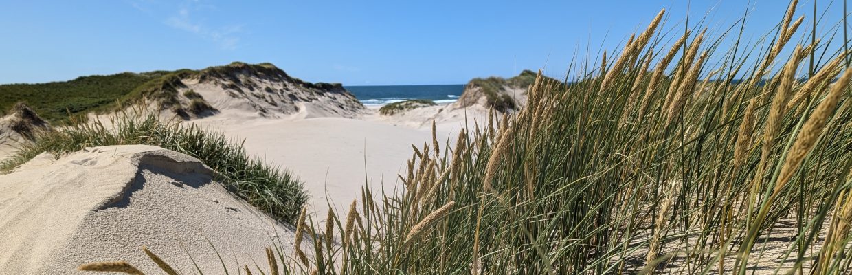 Dünen von Dänemark