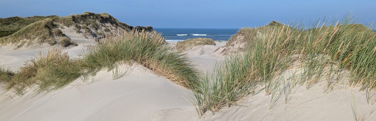 Dünen von Dänemark